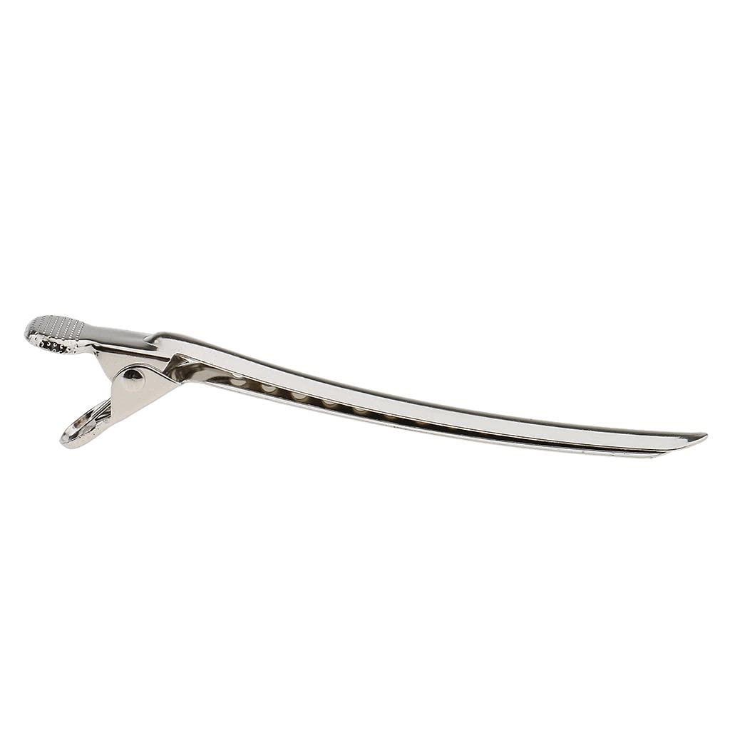 12-piece set of Hairdressing Sectioning Clamps