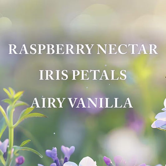 Bath & Body Works Butterfly Body Wash (295ml)