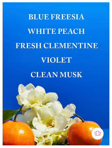 Bath & Body Works Gingham Body Wash With Pro-Vitamin B5 & Aloe - 295ml