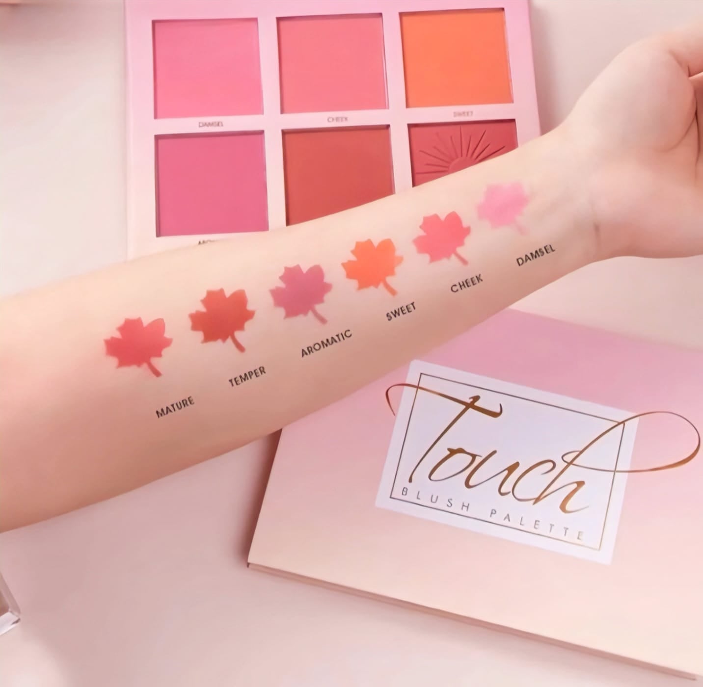 IMAGIC 6 COLOR TOUCH BLUSH PALETTE