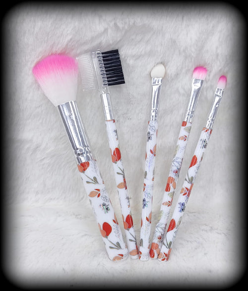 Professional Make Up Brush Pack of 5 PCS