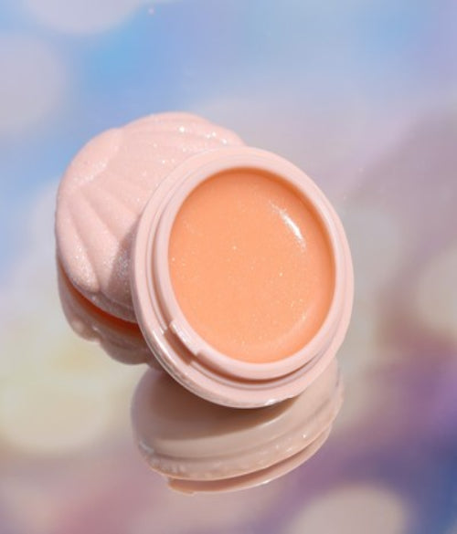 Assorted Sea Shell Design Lip Gloss & Lip Balm