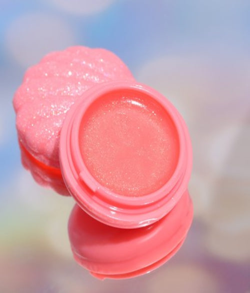 Assorted Sea Shell Design Lip Gloss & Lip Balm