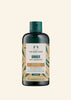 Ginger Anti-Dandruff Shampoo – 250ML