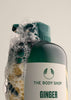Ginger Anti-Dandruff Shampoo – 250ML