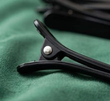 Hair Section Clip Pack of 10 – Professional Styling