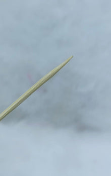 Wooden Bamboo Toothpicks with Dispenser Box!