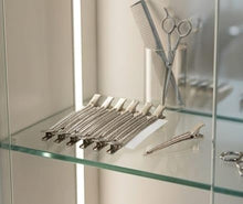 Professional Metal Sectioning Hair Clips Pack of 12