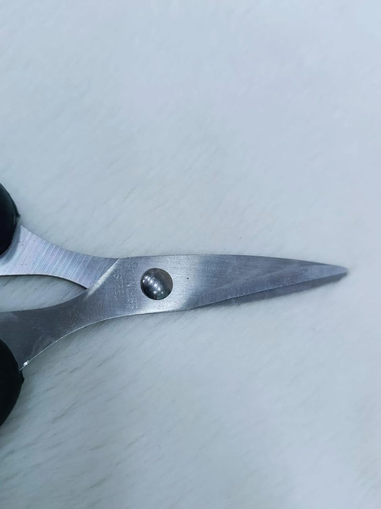 Stainless Steel Scissors with Plastic Handle (HJ 004) – Sharp & Comfortable Cutting