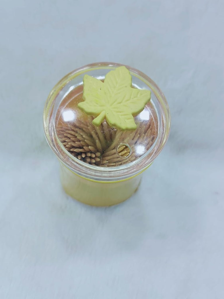 Wooden Bamboo Toothpicks with Dispenser Box!
