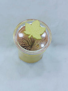 Wooden Bamboo Toothpicks with Dispenser Box!