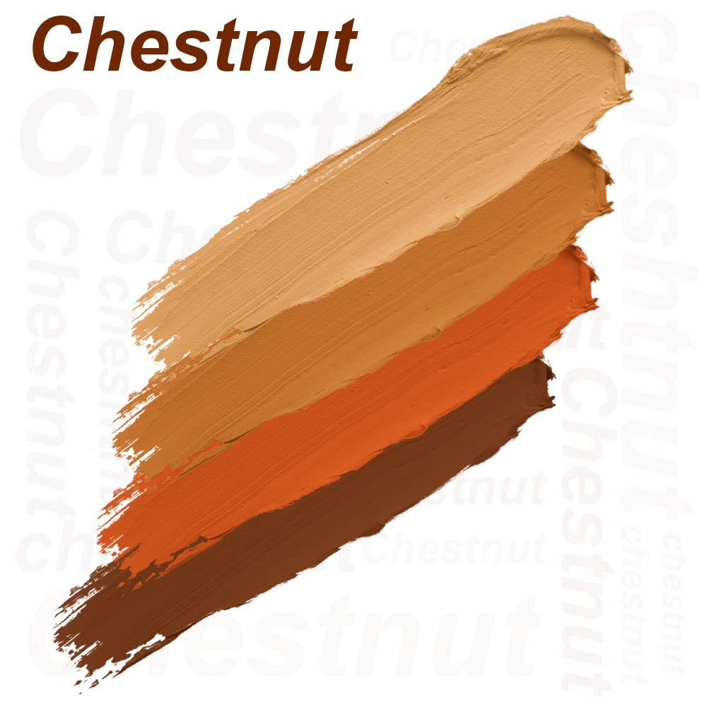 Daily Life Forever52 Matte Finish 4 Color Shades Concealer Kit