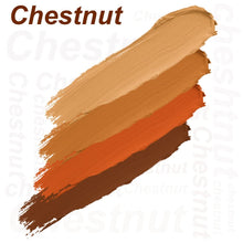 Daily Life Forever52 Matte Finish 4 Color Shades Concealer Kit