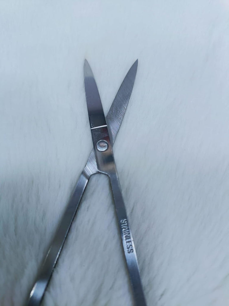Eyebrow Scissors for Daily Use – Perfect Grooming for Women