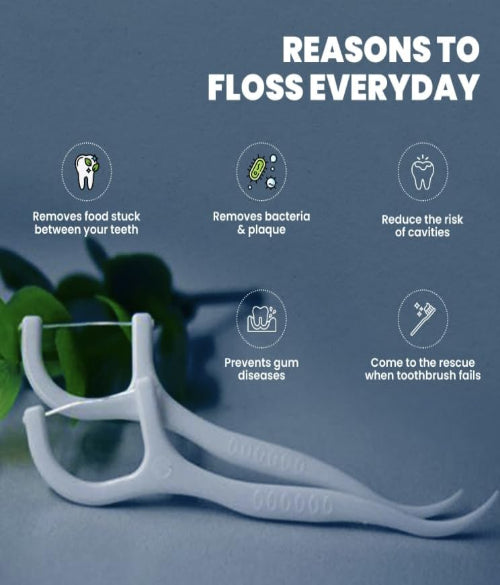 Dental Floss Picks – Pack of 100 pcs !