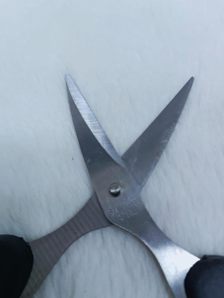 Stainless Steel Scissors with Plastic Handle (HJ 004) – Sharp & Comfortable Cutting