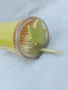 Wooden Bamboo Toothpicks with Dispenser Box!