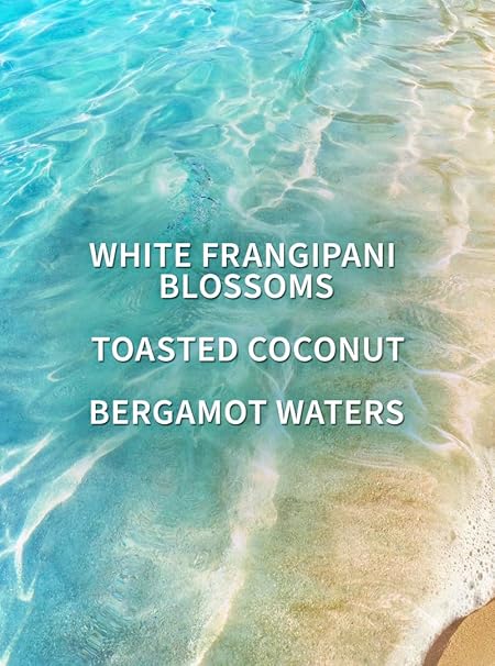 Bath & Body Works At The Beach Body Wash for Women (295ml)