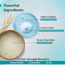Pilgrim Korean Rice Water & Collagen Advanced Damage Repair Shampoo - 200ml