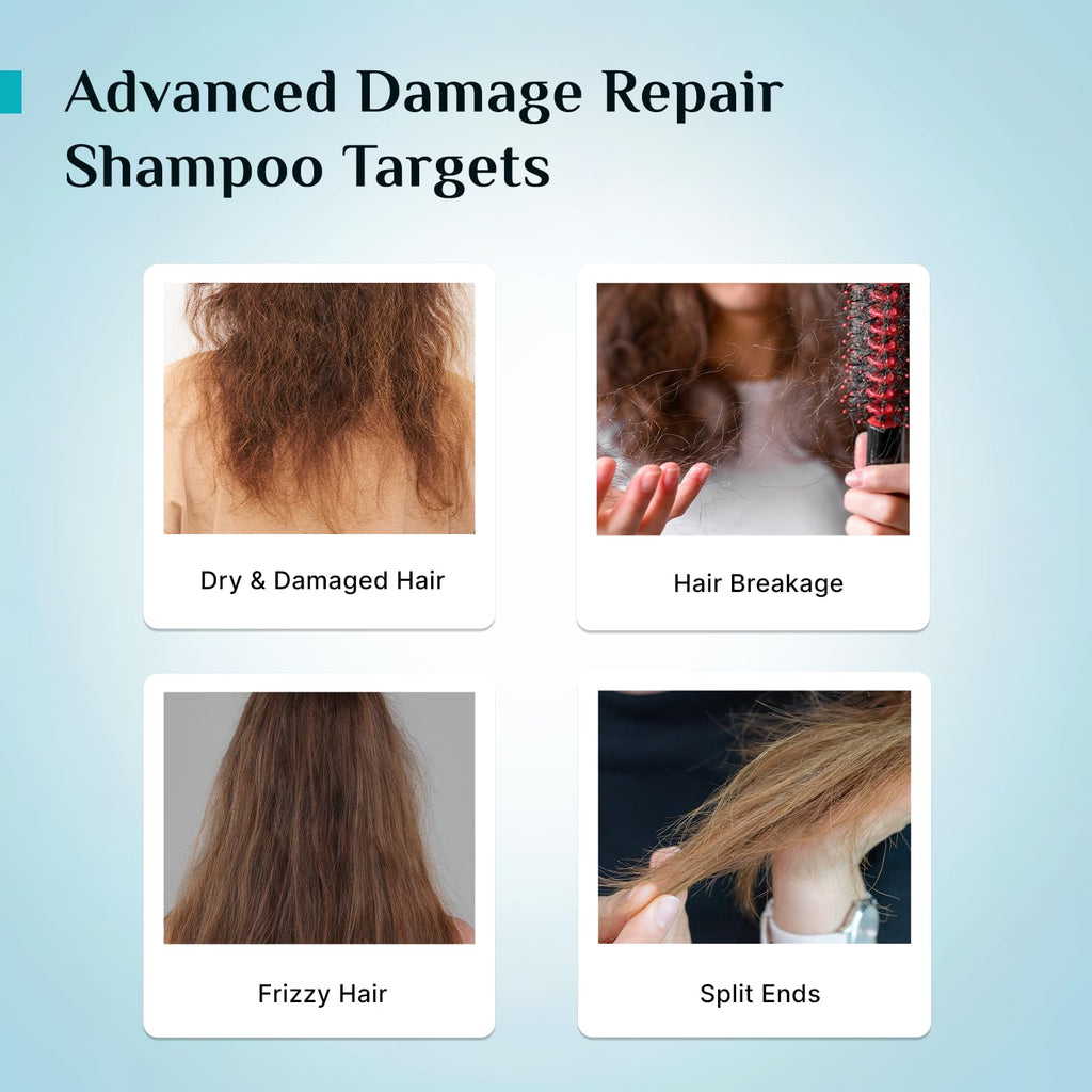 Pilgrim Korean Rice Water & Collagen Advanced Damage Repair Shampoo - 200ml