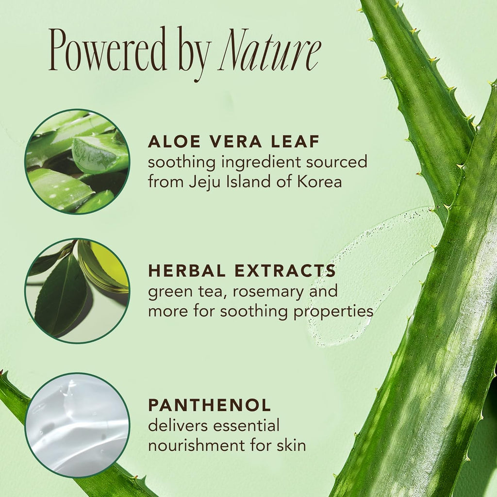 The Face Shop Jeju Aloe Fresh Soothing Foam Cleanser (150ml)