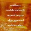 Bath &amp; Body Works In The Stars Body Wash – 236 ml
