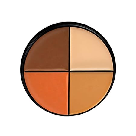 Daily Life Forever52 Matte Finish 4 Color Shades Concealer Kit