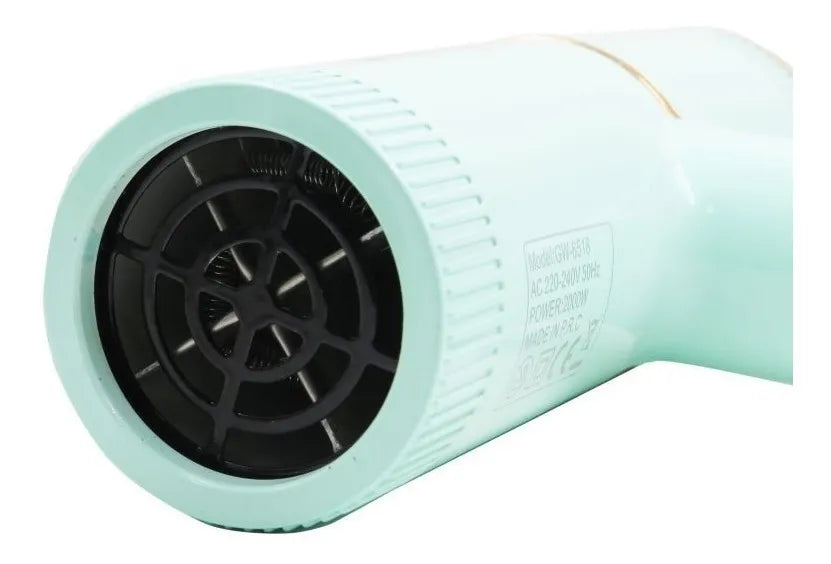 Secador de Cabello Infantil para Niñas 2000W – Rosa y Verde