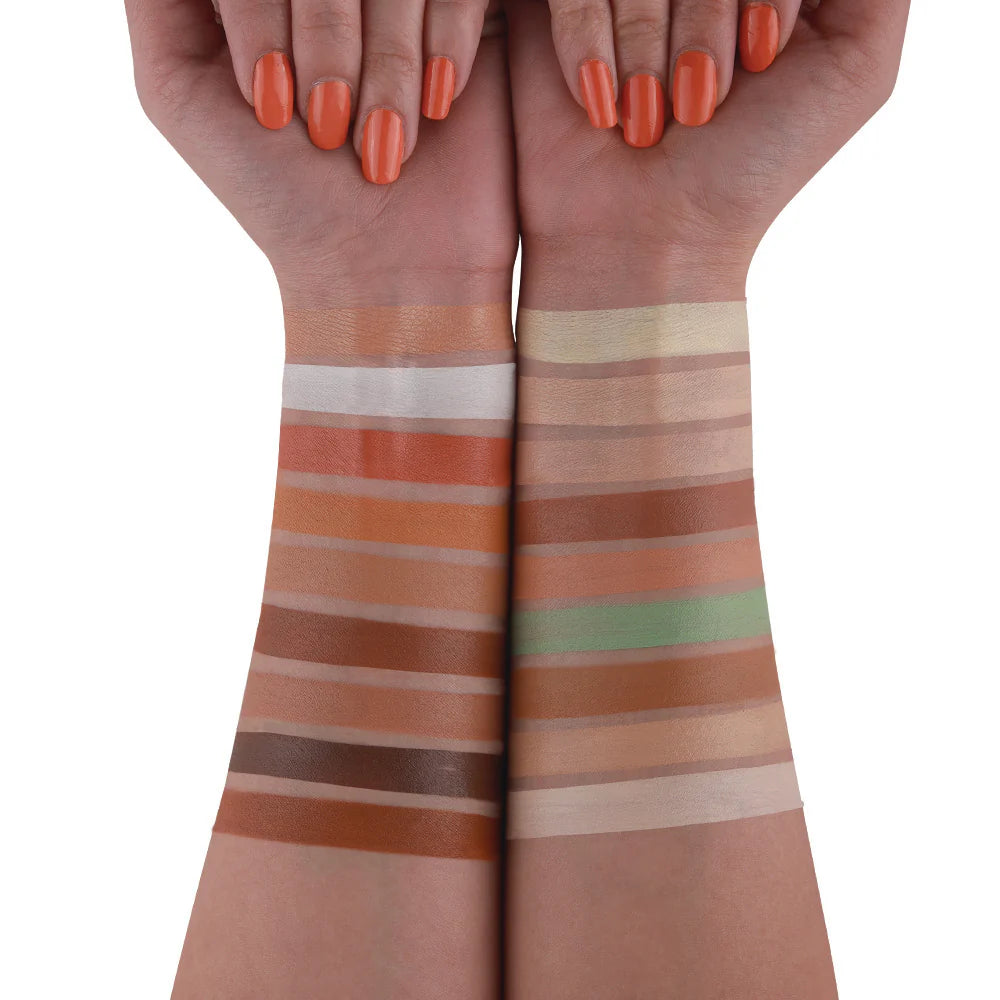 Daily Life Forever52 Pro Artist Multitasker Corrector Palette