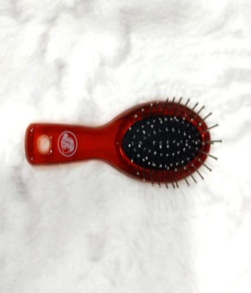 Hair Brush