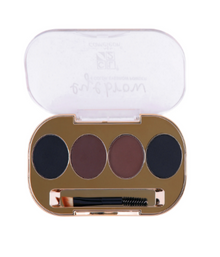 Cameleon 4 Color Eyebrow Powder with Brush
