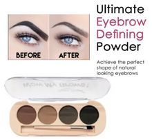 Cameleon 4 Color Eyebrow Powder with Brush
