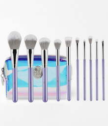 BH STUDIO PRO makeup brush set, 10 Piece Brush Set