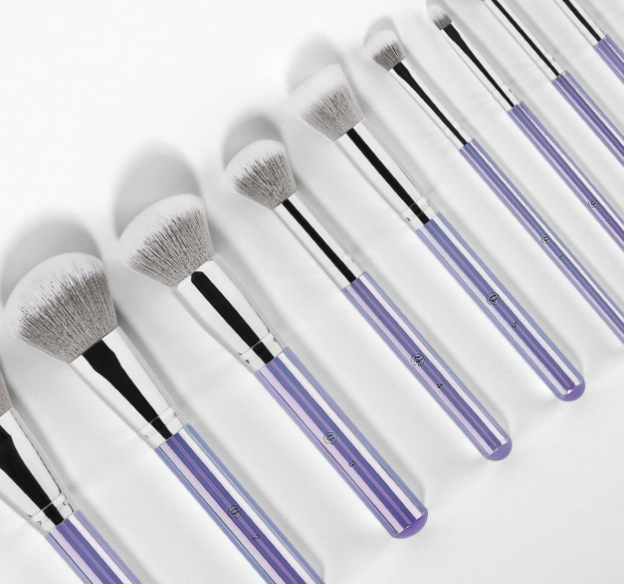 BH STUDIO PRO makeup brush set, 10 Piece Brush Set