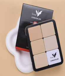 Daroge Corrector Makeup Foundation Vegan Concealer Palette