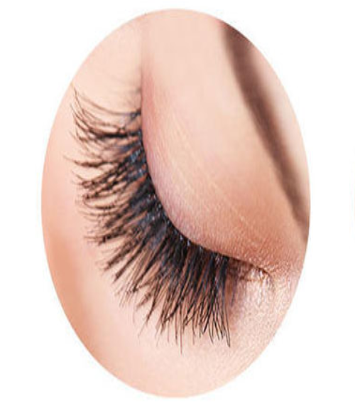 Pack of 12 Pcs Eye Shadow Brushes