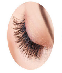 Pack of 12 Pcs Eye Shadow Brushes