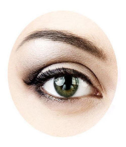 Pack of 12 Pcs Eye Shadow Brushes