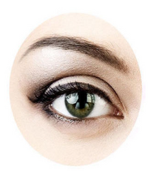 Pack of 12 Pcs Eye Shadow Brushes