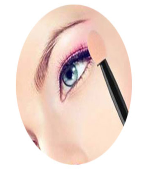 Pack of 12 Pcs Eye Shadow Brushes