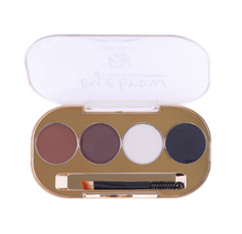 Cameleon 4 Color Eyebrow Powder with Brush