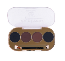 Cameleon 4 Color Eyebrow Powder with Brush