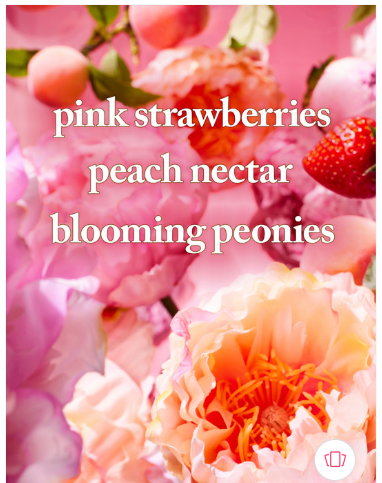 Bath & Body Works Gingham Gorgeous Daily Nourishing Body Lotion – 236 ml