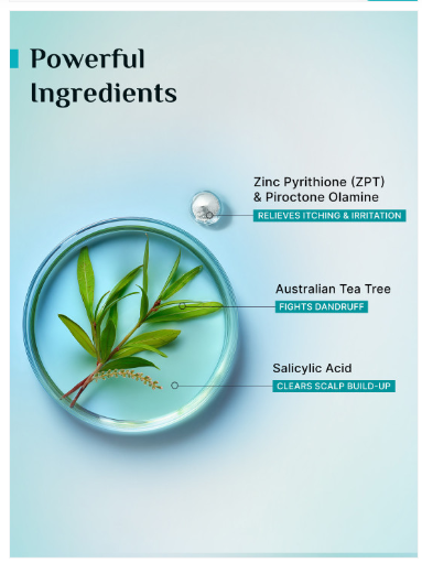 Pilgrim Australian Tea Tree Anti-Dandruff Conditioner For Detangles Hair - 200ml