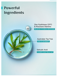 Pilgrim Australian Tea Tree Anti-Dandruff Conditioner For Detangles Hair - 200ml