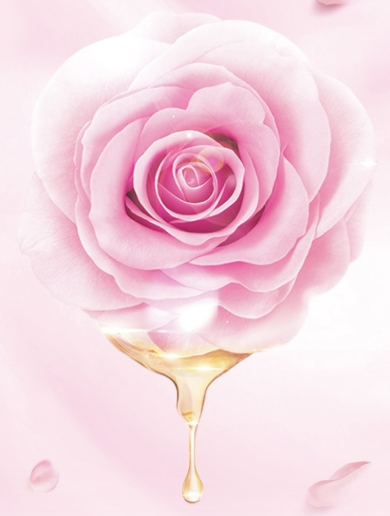 Dr. Rashel Rosehip Oil & Squalane Moisturizing Face Oil 35ml