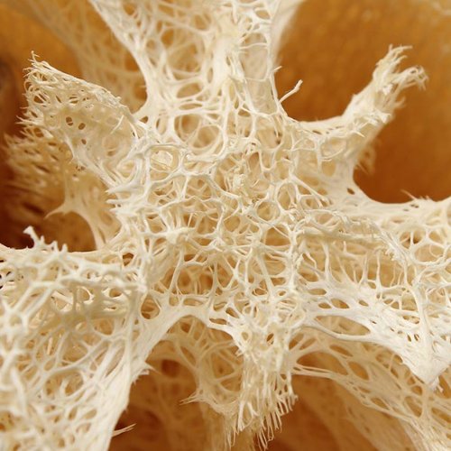 Natural Soft Fibre Bath Loofah with Rope and Handle