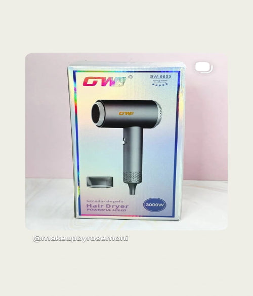 GW-6653 Secador de Pelo Hair Dryer  powerful speed  3000W