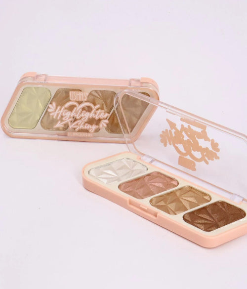 Ushas Paleta de Iluminadores de 4 Colores ES4200B