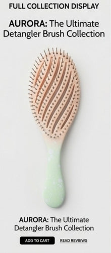Hair Brush Scalp Massage Comb – Fast Blow Drying Detangler